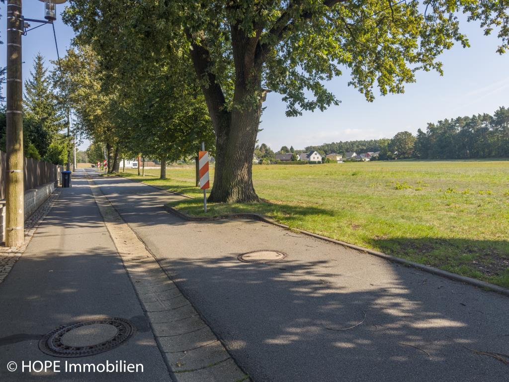 Blick ins Grundstück