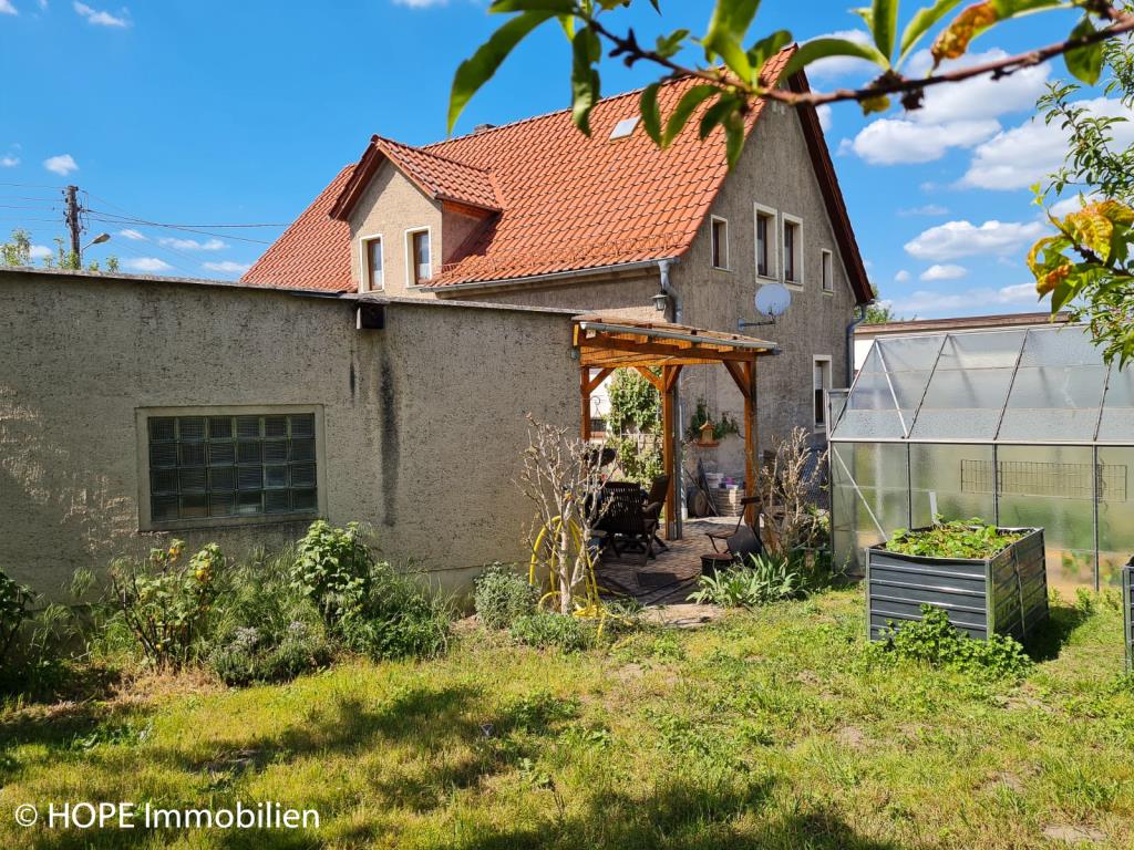 Blick aus Garten
