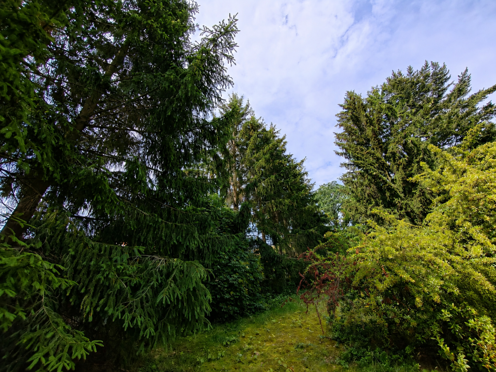 Grundstück Baumbestand