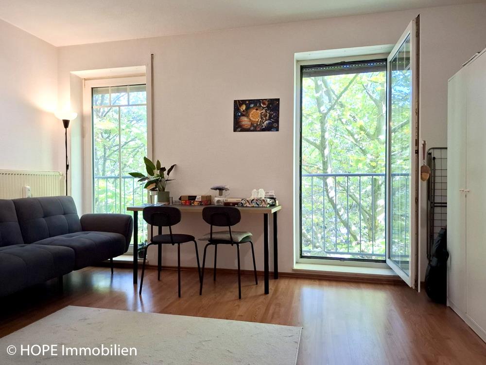Wohnraum französisches Fenster