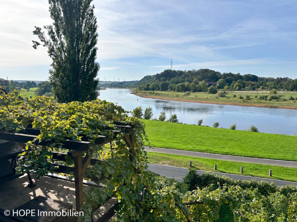 Blick von Terrasse